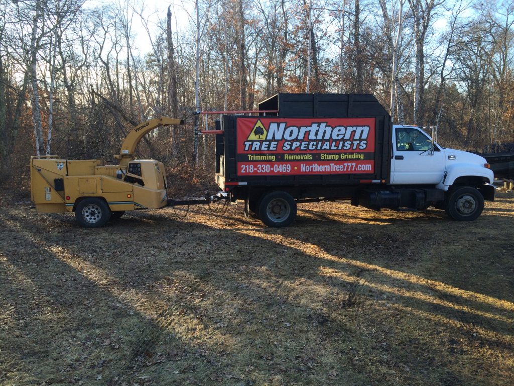 Home Northern Tree Specialists
